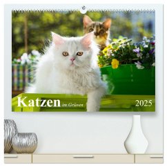 Katzen im Grünen (hochwertiger Premium Wandkalender 2025 DIN A2 quer), Kunstdruck in Hochglanz