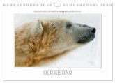 Emotionale Momente: Der Eisbär. (Wandkalender 2025 DIN A4 quer), CALVENDO Monatskalender