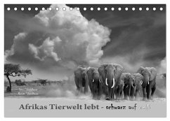 Afrikas Tierwelt lebt - schwarz auf weiß (Tischkalender 2025 DIN A5 quer), CALVENDO Monatskalender