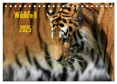 Wildlife II / 2025 (Tischkalender 2025 DIN A5 quer), CALVENDO Monatskalender