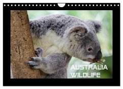 Australia Wildlife (Wandkalender 2025 DIN A4 quer), CALVENDO Monatskalender