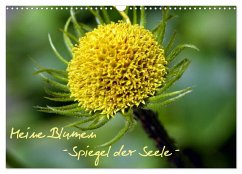 Meine Blumen ¿ Spiegel der Seele (Wandkalender 2025 DIN A3 quer), CALVENDO Monatskalender