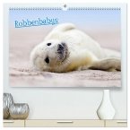 Robbenbabys (hochwertiger Premium Wandkalender 2025 DIN A2 quer), Kunstdruck in Hochglanz