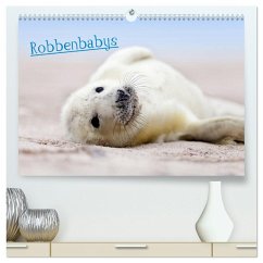 Robbenbabys (hochwertiger Premium Wandkalender 2025 DIN A2 quer), Kunstdruck in Hochglanz - Sturm, Jenny