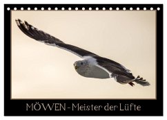 Möwen - Meister der Lüfte (Tischkalender 2025 DIN A5 quer), CALVENDO Monatskalender - Calvendo;Schwarz Fotografie, Thomas