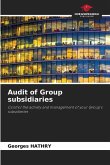 Audit of Group subsidiaries