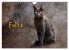 Feline (Wandkalender 2025 DIN A4 quer), CALVENDO Monatskalender