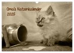 Oma's Katzenkalender 2025 (Wandkalender 2025 DIN A3 quer), CALVENDO Monatskalender