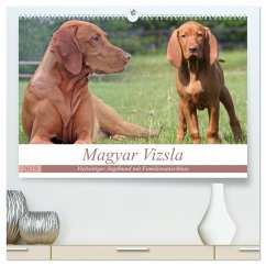 Magyar Vizsla - Vielseitiger Jagdhund mit Familienanschluss (hochwertiger Premium Wandkalender 2025 DIN A2 quer), Kunstdruck in Hochglanz