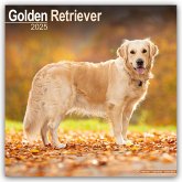 Golden Retriever 2025 - 16-Monatskalender