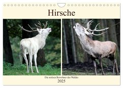 Hirsche - Die stolzen Bewohner des Waldes (Wandkalender 2025 DIN A4 quer), CALVENDO Monatskalender