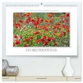 Emotionale Momente: Die Blumenwiese. (hochwertiger Premium Wandkalender 2025 DIN A2 quer), Kunstdruck in Hochglanz