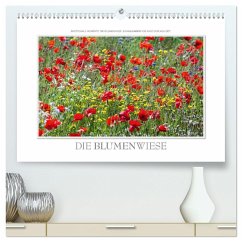 Emotionale Momente: Die Blumenwiese. (hochwertiger Premium Wandkalender 2025 DIN A2 quer), Kunstdruck in Hochglanz - Gerlach GDT, Ingo