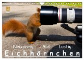 Eichhörnchen (Wandkalender 2025 DIN A4 quer), CALVENDO Monatskalender