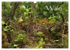 Wald (Wandkalender 2025 DIN A3 quer), CALVENDO Monatskalender