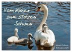 Vom Küken zum stolzen Schwan (Wandkalender 2025 DIN A3 quer), CALVENDO Monatskalender