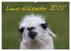 Lama-Kalender 2025 (Wandkalender 2025 DIN A2 quer), CALVENDO Monatskalender - Calvendo;Witkowski, Bernd