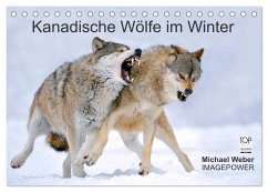 Kanadische Wölfe im Winter (Tischkalender 2025 DIN A5 quer), CALVENDO Monatskalender