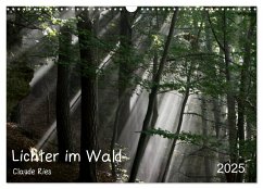 Lichter im Wald (Wandkalender 2025 DIN A3 quer), CALVENDO Monatskalender