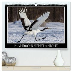 Mandschurenkraniche (hochwertiger Premium Wandkalender 2025 DIN A2 quer), Kunstdruck in Hochglanz - Calvendo;Schwarz Fotografie, Thomas