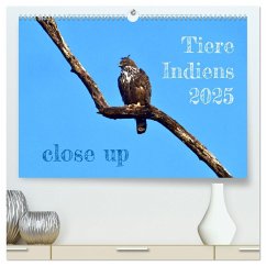 Tiere Indiens close up (hochwertiger Premium Wandkalender 2025 DIN A2 quer), Kunstdruck in Hochglanz
