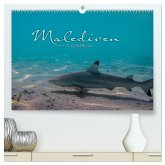 Unterwasserwelt der Malediven I (hochwertiger Premium Wandkalender 2025 DIN A2 quer), Kunstdruck in Hochglanz
