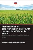 Identification et caractérisation des MLND causant le MCMV et le SCMV