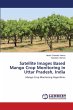 Satellite Images Based Mango Crop... - Bild 1