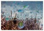 Unterwasserwelt der Malediven III (Wandkalender 2025 DIN A2 quer), CALVENDO Monatskalender