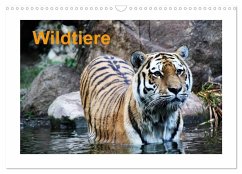Wildtiere (Wandkalender 2025 DIN A3 quer), CALVENDO Monatskalender