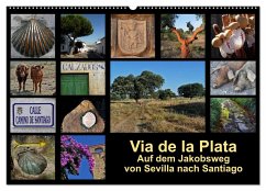 Via de la Plata - auf dem Jakobsweg von Sevilla nach Santiago (Wandkalender 2025 DIN A2 quer), CALVENDO Monatskalender - B., Rina