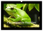 Faszinierende Reptilien (Wandkalender 2025 DIN A3 quer), CALVENDO Monatskalender