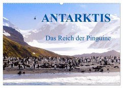 Antarktis - Das Reich der Pinguine (Wandkalender 2025 DIN A2 quer), CALVENDO Monatskalender