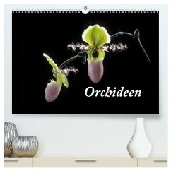 Orchideen 2025 (hochwertiger Premium Wandkalender 2025 DIN A2 quer), Kunstdruck in Hochglanz