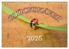 Marienkäfer 2025 (Tischkalender 2025 DIN A5 quer), CALVENDO Monatskalender - Calvendo;Geduldig, Bildagentur