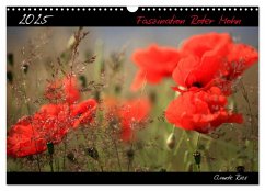 Faszination Roter Mohn (Wandkalender 2025 DIN A3 quer), CALVENDO Monatskalender - Calvendo;Ries, Claude