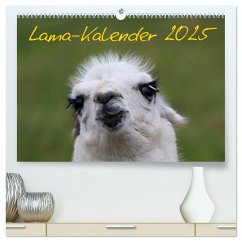 Lama-Kalender 2025 (hochwertiger Premium Wandkalender 2025 DIN A2 quer), Kunstdruck in Hochglanz