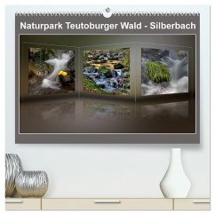 Naturpark Teutoburger Wald - Silberbach (hochwertiger Premium Wandkalender 2025 DIN A2 quer), Kunstdruck in Hochglanz - Hobscheidt, Ernst