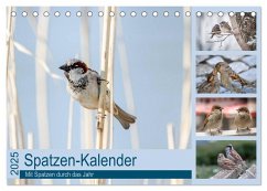 Spatzen-Kalender (Tischkalender 2025 DIN A5 quer), CALVENDO Monatskalender