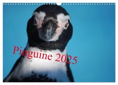 Pinguine 2025 (Wandkalender 2025 DIN A3 quer), CALVENDO Monatskalender - Calvendo;Groos, Ilka