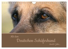 Mit dem Deutschen Schäferhund durch's Jahr (Wandkalender 2025 DIN A4 quer), CALVENDO Monatskalender