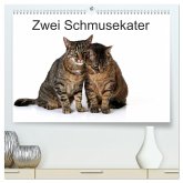 Zwei Schmusekater (hochwertiger Premium Wandkalender 2025 DIN A2 quer), Kunstdruck in Hochglanz