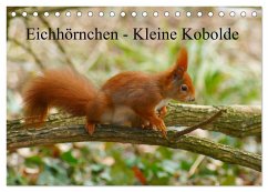 Eichhörnchen - Kleine Kobolde (Tischkalender 2025 DIN A5 quer), CALVENDO Monatskalender - Calvendo;Kattobello