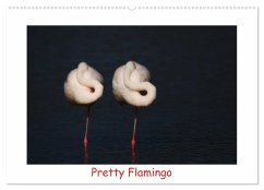 Pretty Flamingo (Wandkalender 2025 DIN A2 quer), CALVENDO Monatskalender - Bogner, J. R.