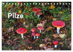 Pilze (Tischkalender 2025 DIN A5 quer), CALVENDO Monatskalender