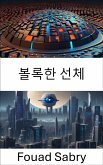 볼록한 선체 (eBook, ePUB)