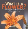 What is a Flower? Dissecting a Flower,... - Bild 1