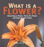 What is a Flower? Dissecting a Flower, Parts of a Flower and Reproductive Roles   Grade 6-8 Life Science