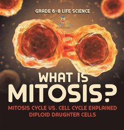What is Mitosis? Mitosis Cycle vs. Cell Cycle Explained   Diploid Daughter Cells   Grade 6-8 Life Science - Baby