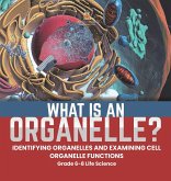What is an Organelle? Identifying Organelles and Examining Cell Organelle Functions   Grade 6-8 Life Science